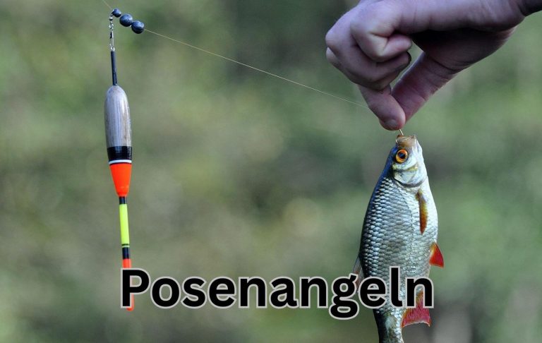 Hand hält einen gefangenen Fisch neben einer Angelpose.