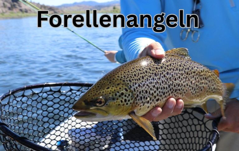 Eine Person hält einen gefangenen Forellenfisch über einem Netz am Wasser.